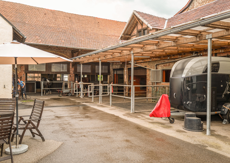 fisella-nadine-horse-k19